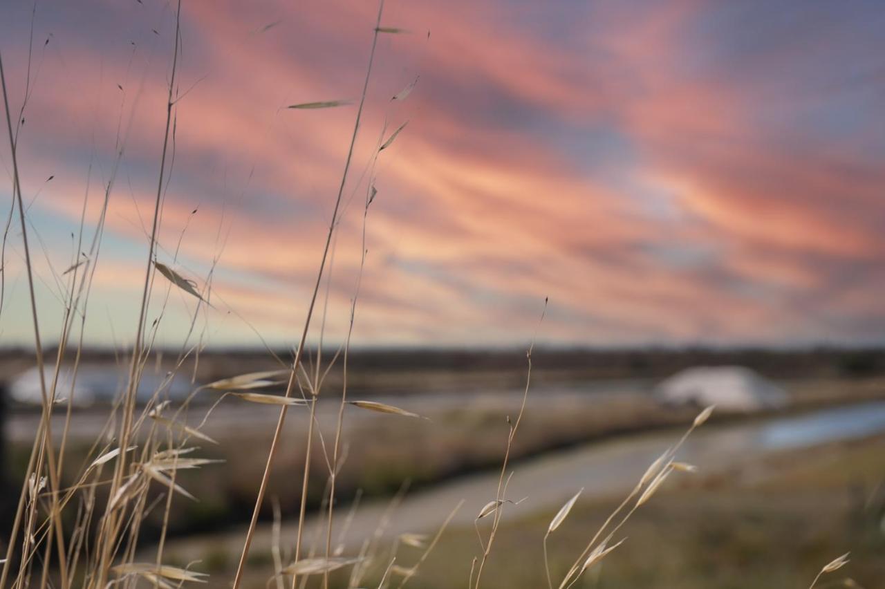 Le Parc Des Mimosas Villa Noirmoutier-en-l'Ile Buitenkant foto