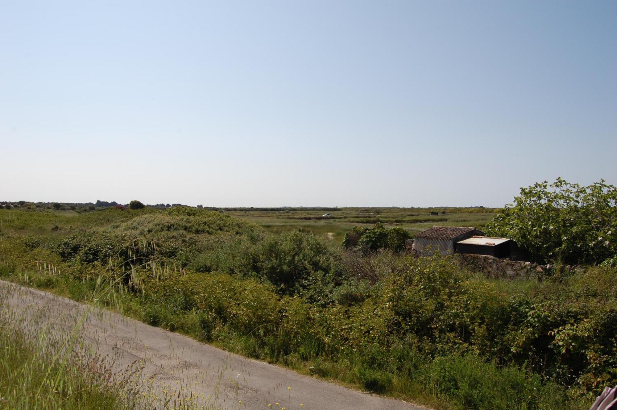 Le Parc Des Mimosas Villa Noirmoutier-en-l'Ile Buitenkant foto